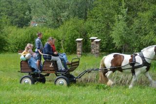 B&B Cambiare - Eeklo - 9