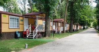 Camping Fuentes Blancas - 0