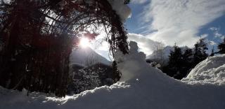 Landhaus zum Griena - 6