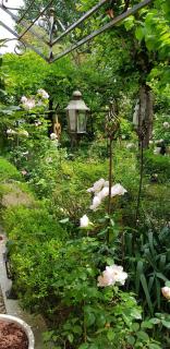 Chambres d'hôtes Jardin D'ivoire - Saint-Gervais-la-Forêt - 2