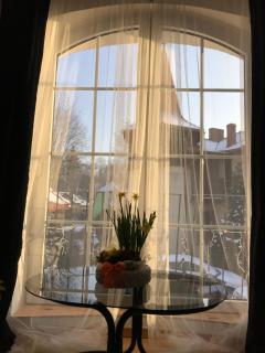 Apartamenty w ogrodzie - 7