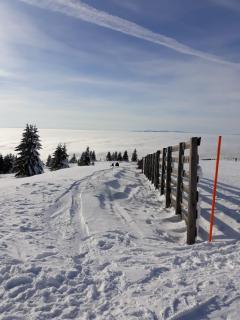 Apartman Vila Natasa - 1