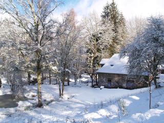 Gîte Nature Le moulin - Vitrac-sur-Montane - 8