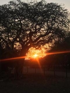 Chinaka Game Lodge - 1