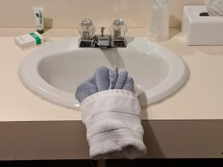 The BarnwooD Inn - Humansville - 9