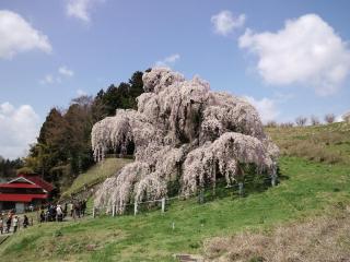 Azumakan - Nihommatsu - 1
