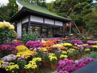 Azumakan - Nihommatsu - 3