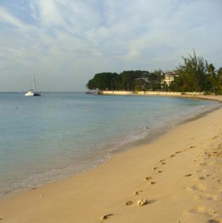 Coral Lane Beach Apartments - Saint James - 4