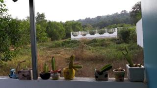 Ben Guesthouse Phu Quoc - 7