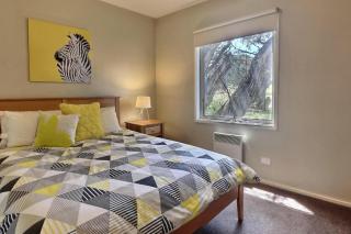 Alpine Edge - 5