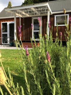 Orange Tree Cottage - Harbour view - 6