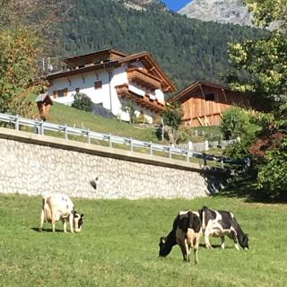 Aussermairhof - Campo Tures - 9