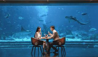Atlantis Sanya - 4