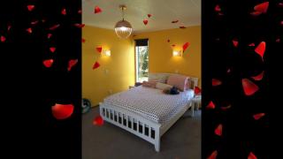 Wendy's Holiday Home - Auckland - 8