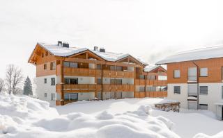 Appartements Ramsau am Dachstein by Schladmingurlaub - 9