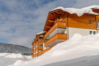 Appartements Ramsau am Dachstein by Schladmingurlaub - Ramsau am Dachstein - 5