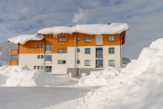 Appartements Ramsau am Dachstein by Schladmingurlaub - Ramsau am Dachstein - 4