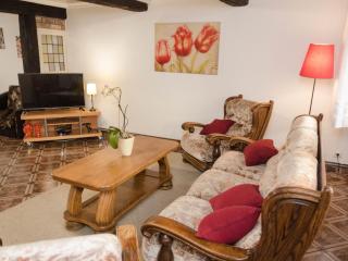 Pet-Friendly Home w Garden - 3