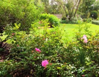 Bindley House B&B Cottage - Kilmore - 6