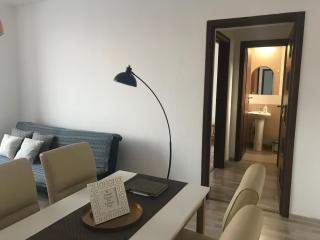 Joy Apartment - Timişoara - 5