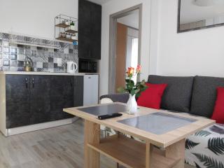 City Center Apartments - Apartamenty nad rzeką Nettą - Augustów - 4