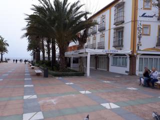 Calle Antonio Millón - Nerja - 8