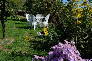 LES HAUTS DU CAUSSE - Grand-Mas - 9