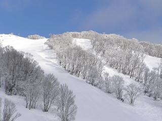 Falls Creek Country Club - Falls Creek - 1