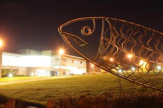 Causeway Holiday Homes - Coleraine - 9