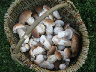 Andreyevskie Ozera - 3