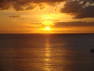 Coral Lane Beach Apartments - Saint James - 1