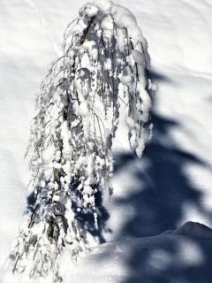 Haus Ladner - 2