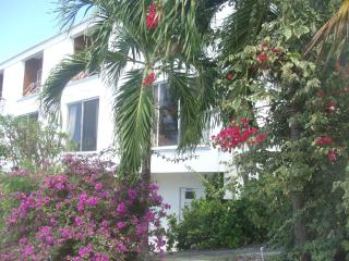 Coral Lane Beach Apartments - Saint James - 8