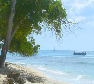 Coral Lane Beach Apartments - Saint James - 5