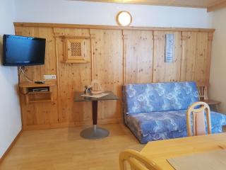 Alpina Appartement - Sankt Leonhard im Pitztal - 1
