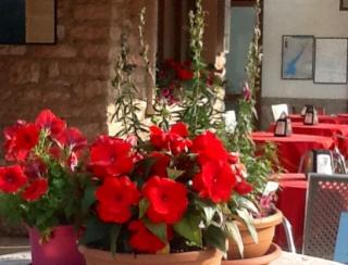 Albergo Centrale - San Zeno di Montagna - 7