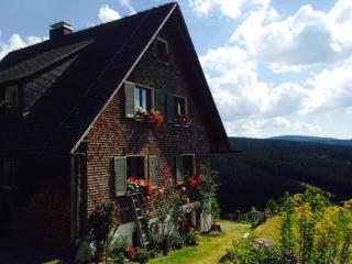 Ferienhaus "Am Wäldle" - Feldberg - 8