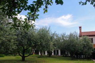Tourist farm with Apartments Fig tree - 4