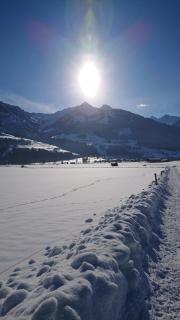 Ferienhaus Hohe Tauern in Piesendorf - Piesendorf - 7