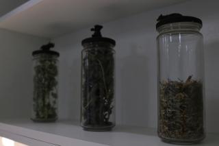 Meia Laranja - Almeirim - 3