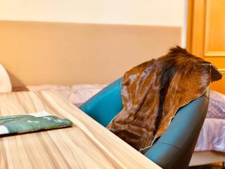 Golden GaPa Central Family Apartment 27 - Garmisch-Partenkirchen - 5