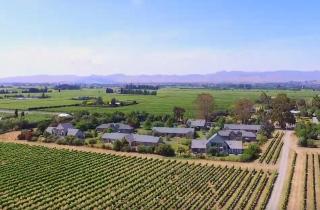 Vintners Retreat - Blenheim - 2