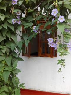 Ananda Home Stay and Restaurant - Tangalle - 6
