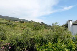 Villa Caribe affittacamere - Monterosso al Mare - 6