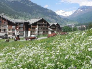 Lagrange Vacances Les Valmonts de Val Cenis - Lanslebourg-Mont-Cenis - 4