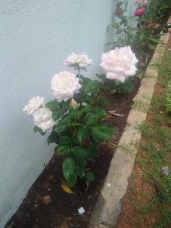 Living Home - Negombo - 1