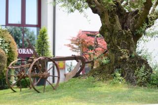 Hotel HDomus - Nogarole Rocca - 8