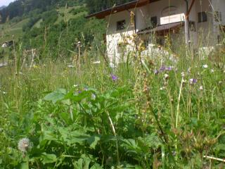 Landhaus Auen - 1
