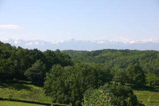 Les Oliviers - Auriébat - 1