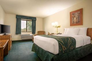 Travelodge by Wyndham Morrill - Morrill - 4